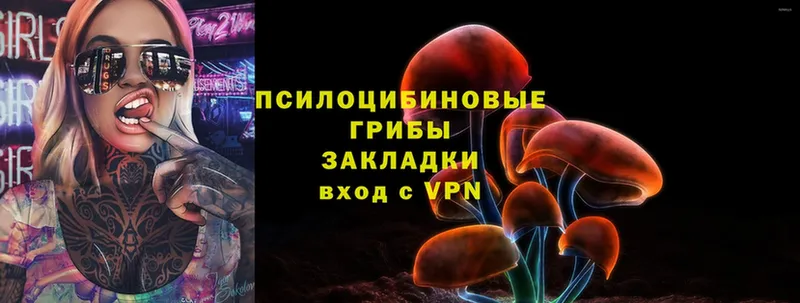 OMG   Куса  Псилоцибиновые грибы Psilocybine cubensis 